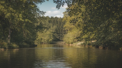 ivey park