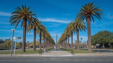 south gate park